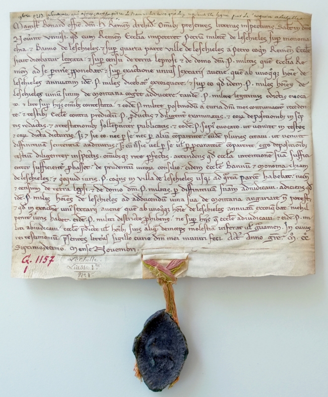 Figure 1 : Acte sur parchemin de novembre 1217, mentionnant du vin de Montagne, charrié vers la seigneurie de L’Échelle. ADMR, 2 G 1157.
