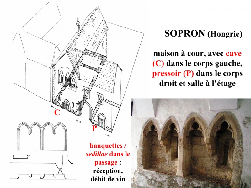 Fig. 6 : Sopron (Hongrie), Templom-Utca 9 : maison de bourgeois vigneron, avec installation viticoles au rez-de-chaussée et pièces à vivre à l’étage. Noter les sièges en pierre, décorés, dans la vaste entrée.