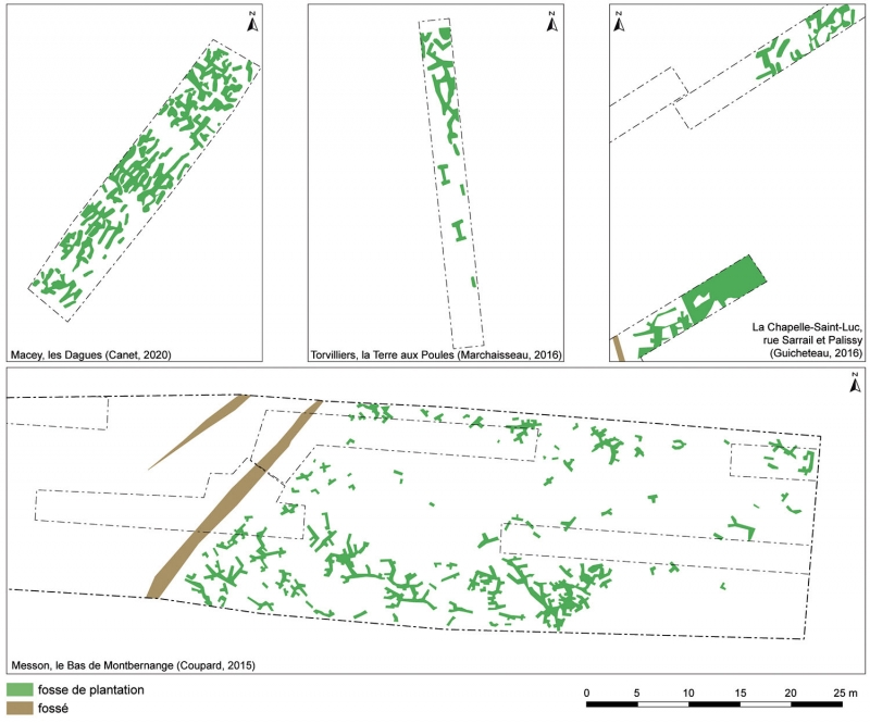 Figure 16 : exemple de fosses dédiées à la viticulture mises au jour dans la plaine de Troyes.