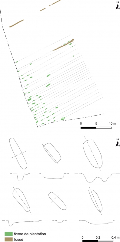 Figure 17 : organisation générale des fosses découvertes sur l’opération de Dienville « le Port », plan et profil d’une partie du corpus des fosses (tiré de Sartou et alii 2015, p. 222, fig. 196 et p. 225, fig. 198).