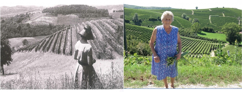  Figure 3 : Deux images de la même région viticole (première moitié du XXème siècle – début du XXIème siècle), extrait du film « La voix des lieux ». 
