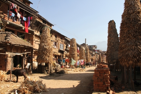Fig 7. The only street in Pyangaon/Svangu village (Lalitpur district), with two rows of terraced houses on both sides.