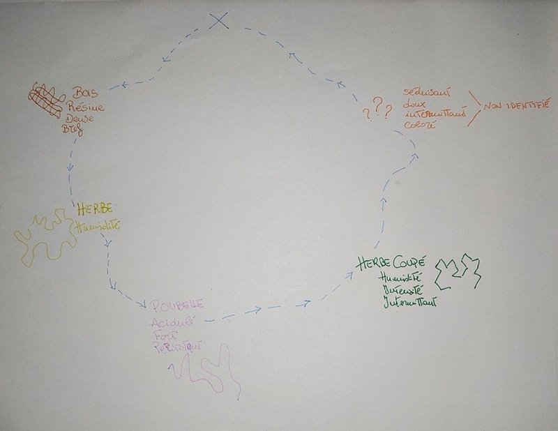 Illustration n°1 : Cartographie 1.