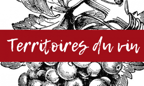 Logo du site "Territoires du vin"