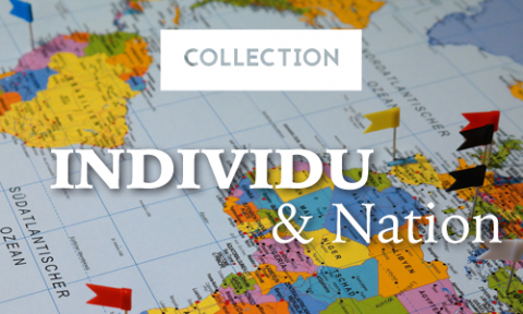 Logo du site "Collection Individu et Nation"