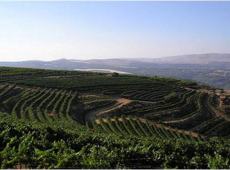 Les collines de Judée, près du kibboutz ‘Hulda