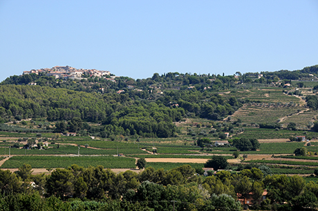 Des vignobles provençaux au cœur des foyers touristiques 