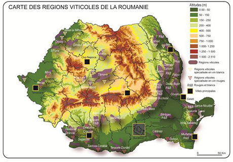 Carte 3 Carte des régions viticoles de la Roumanie (carte de l’auteur)