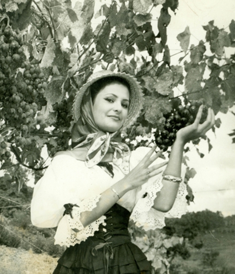 Une miss lors d’une fête viticole à Bento Gonçalves en compagnie d’un magnifique ped de vigne, sans doute de variété Isabela (1967).