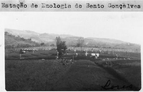 La Station Œnologique de Bento Gonçalves. Sources : EMBRAPA 