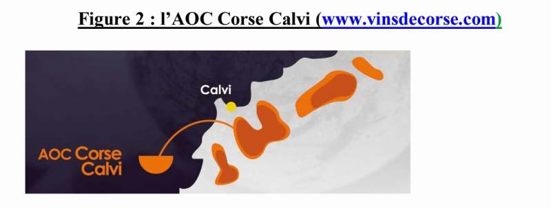 Figure 2 : l’AOC Corse Calvi (www.vinsdecorse.com) 