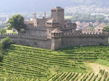 Image 5. Le vignoble autour d’une des citadelles de Bellinzona (Suisse).