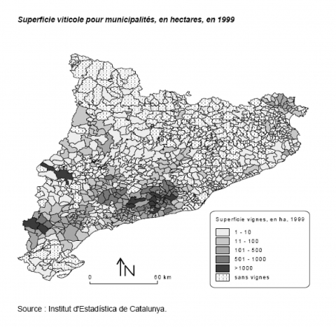 La superficie vitícola por municipios, en hectáreas, en 1999