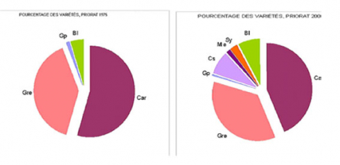 Figura 4. Evolución de los porcentajes de variedades. Datos del Catastro vitivínicola de 1975, 2000 i 2008.