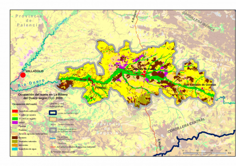 Figura 7, Ocupaciones del suelo en la Ribera del Duero CLC 2000