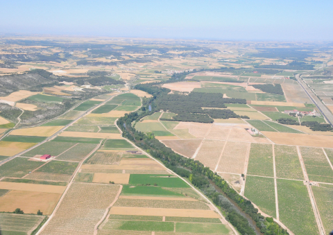 Figura 4. Cavas Arzuaga en el valle vitícola del río Duero