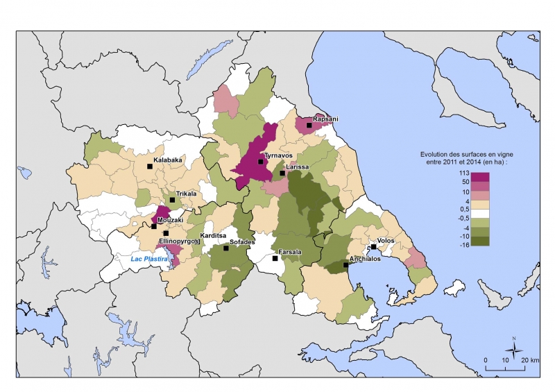 Carte 3 - Évolution des surfaces en vignes en Thessalie (2011-2014)