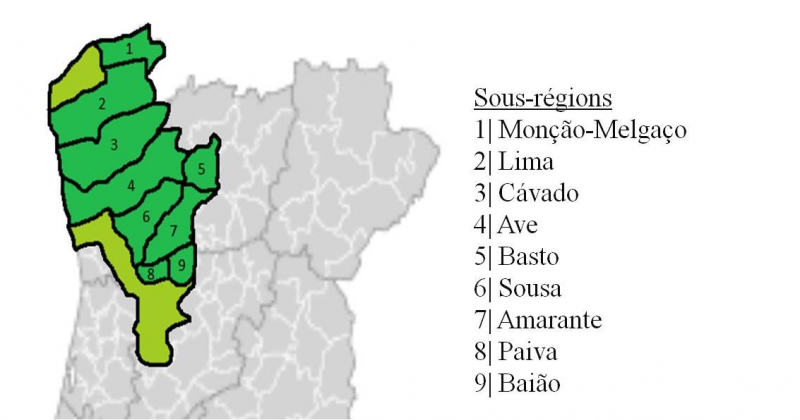 La Région délimitée des vinhos verdes et les neuf sous-régions (post-2001)