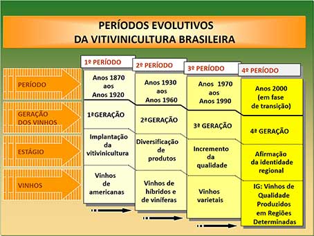 Figure 2. Périodes évolutives de la Vitiviniculture brésilienne.