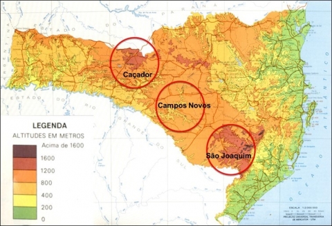 Figure 2. Localisation des trois premiers pôles de production de raisin en altitude à Santa Catarina.