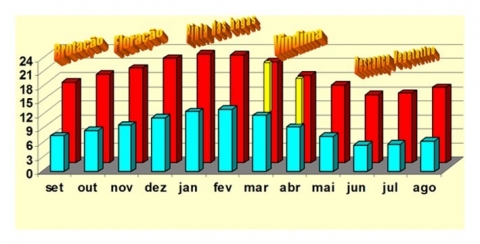 Figure 3. Des températures minimales et maximales (ºC) ont été enregistrées à São Joaquim pendant le cycle végétatif de la vigne.