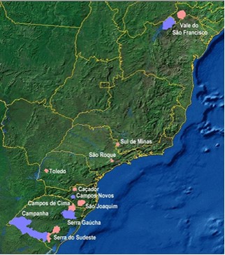 Figure 1. Principales régions vitivinicoles brésiliennes.