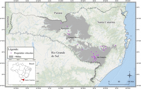 Figure 1 : État de Santa Catarina (SC), situé dans la région sud du Brésil, avec les zones d’altitudes supérieures à 900 m et distribution des propriétés viticoles.