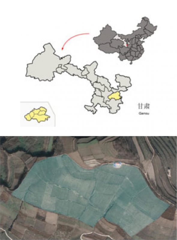 Figure 1: Map of Tianshui and satellite view of the pilot M. Boutari& Co Ltd vineyard. 