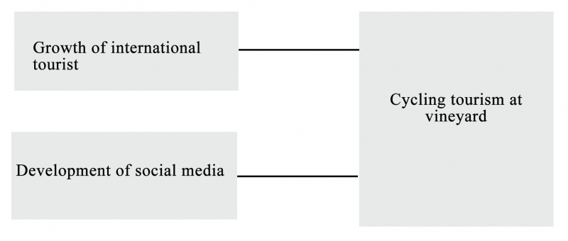 Illustration 4: Conceptual framework of research on how the development of social media and growth of international tourists motivate the cycling tourism at vineyard. 