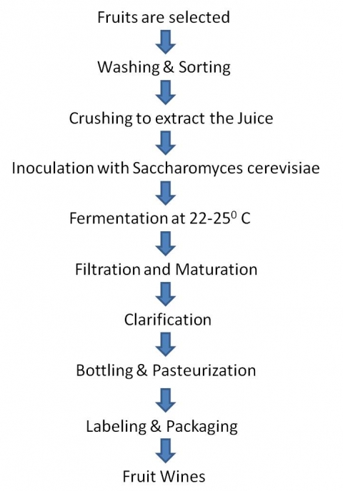 Figure 3 - Production of Fruit Wines.