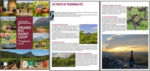 Illustration 7. Visuels de communication de la Communauté de Communes Grand Pic Saint-Loup