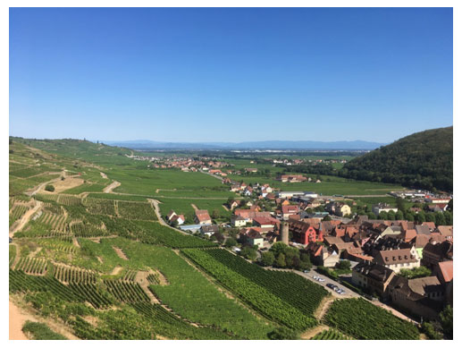 Illustration 3. Le vignoble de Kayserserg et son bourg au pied des vignes, vallée de la Weiss