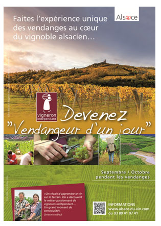 Illustration 7. Publicité pour vendanger, soutenue par les Vignerons indépendants et la marque Alsace