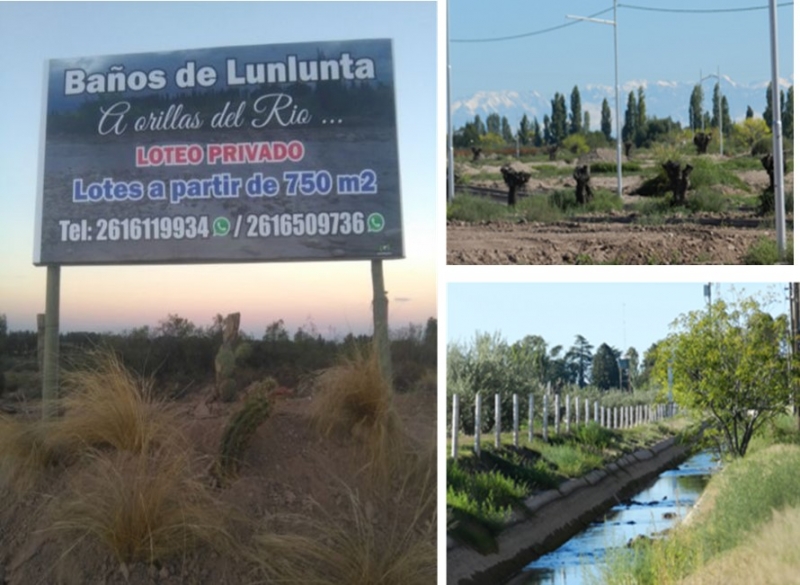 Fig. 10. Avance de la urbanización con loteos privados; tala de olivos antiguos; impermeabilización de canales y pérdida de la flora autóctona y forestales que crecían en sus márgenes.