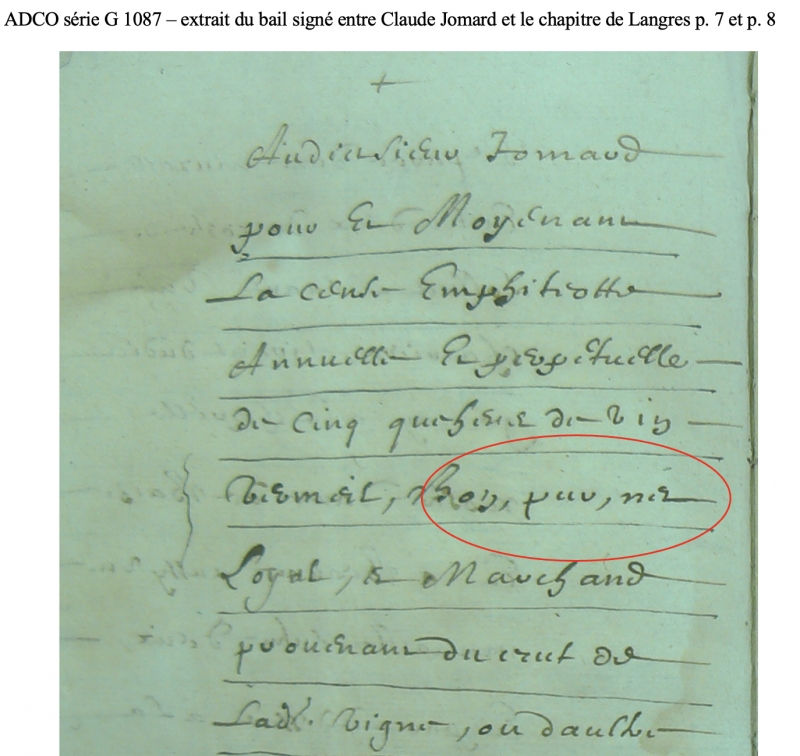 Illustration 2 : Extrait de la copie du bail conclu entre le chapitre de Langres et Claude Jomard le 20 mai 1651.