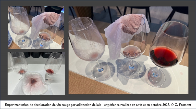 Illustration 5 : expérimentation de décoloration du vin rouge par l’adjonction de lait - Expérience réalisée en août et en octobre 2023.