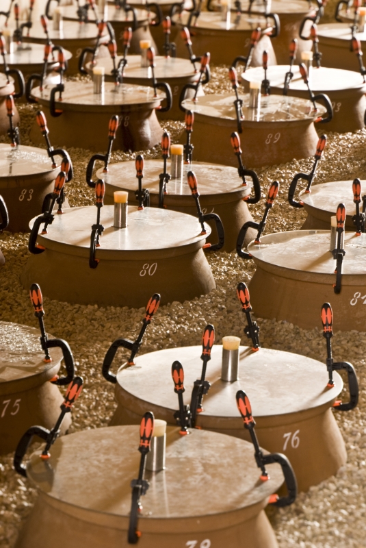 Photo° 9 : Vue du chai à jarres vinaires de l’Azienda Agricola Cos, © Azienda Agricola Cos