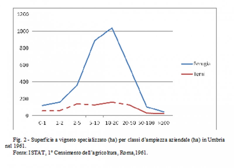 Figure 2 – Recensement agricole 1961 – Ombrie – Exploitations viticoles par classe de taille de la superficie totale (source: ISTAT, 1° Recensement agricole, Roma, 1961).