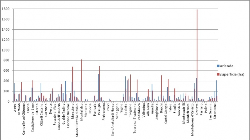 Figure 6 – Surface en vigne et nombre des exploitations viticoles dans les municipalités de l’Ombrie (source : ISTAT, 6° Recensement Générale de l’Agriculture, Roma, 2010).