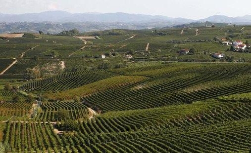 La viticulture dans la région d’Acqui. La zone de production du « Brachetto ».