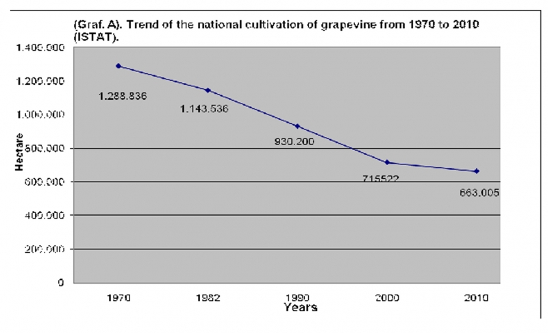 Graphique A – Evolution des surfaces plantées en vignes à raisins de cuve et de table entre 1970 et 2010. Source : ISTAT.