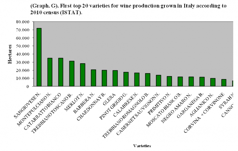 Graphique G – Surface viticole des vingt premiers cépages de cuve au Recensement Agricole de 2010. (Source : ISTAT).