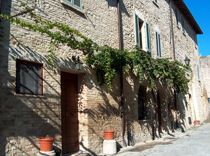 Fig. 2 – Nel centro storico di Montefalco sopravvivono tuttora antichi ceppi di Sagrantino, ciascuno dei quali “adottato” da una delle principali aziende vinicole della zona.