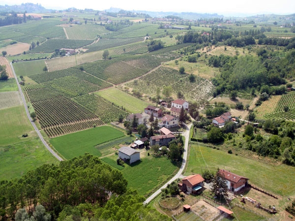 La viticoltura nell&apos;Ovadese, zona del Dolcetto di Ovada