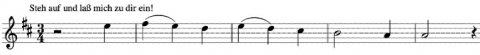Figure 28. Phrase tirée de « Wo die Schönen Trompeten Blasen » de Mahler.