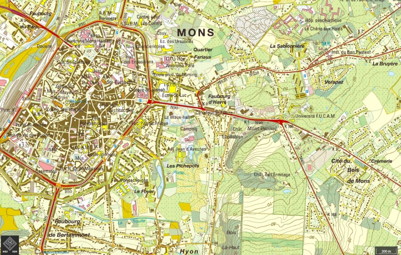 Figure 3 : Capture écran de la carte topographique 1/10000e, position du parc du bois de Mons. 