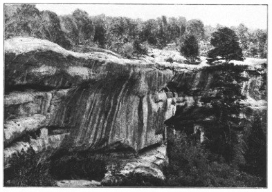 Figure 13. Spruce-Tree House from the Mesa, in Gustaf Nordenskiöld, Cliff-Dwellers of the Mesa Verde (1893). 